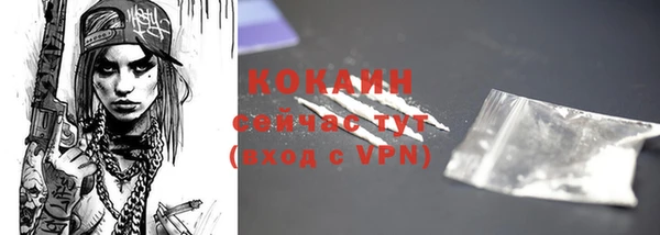 МДПВ Бронницы