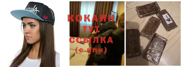 СК Бородино
